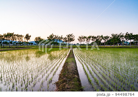 新潟　田園風景 94498764