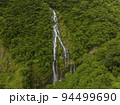 タンギョの滝 (奄美大島 / 九州2位の落差) 94499690