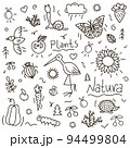 Doodle nature vector set of outlined animals, birds and insects. Charming hedgehog, bee, stork, pumpkin, butterfly, snail 94499804