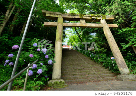 丹生官省符神社への石段(鳥居と紫陽花) 【和歌山県九度山町】 丹生官省符神社への石段(鳥居と紫陽花) 【和歌山県九度山町】 94501176