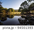水面に映り込む秋の奈良公園 94501393