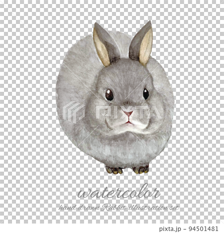 可用於新年賀卡的兔子水彩畫 可用於新年賀卡的兔子水彩畫 94501481