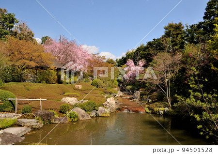 妙心寺退蔵院(余香苑) 【京都府京都市右京区】 妙心寺退蔵院(余香苑) 【京都府京都市右京区】 94501528
