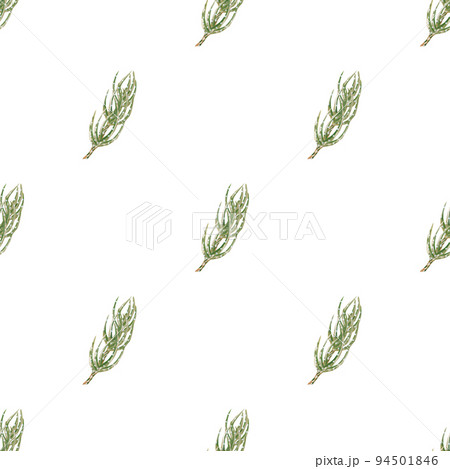 Evergreen and tree seamless pattern, background with spruce branch, Christmas and New Year decoration, nature print. Hand drawn watercolor illustration Evergreen and tree seamless pattern, background with spruce branch, Christmas and New Year decoration, nature print. Hand drawn watercolor illustration 94501846