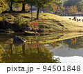 池に映り込む秋の奈良公園春日野園地と鹿の群れ 94501848