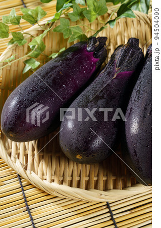 茄子 94504090