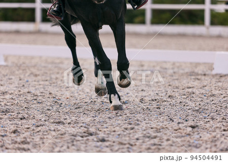 Feet sports horse running at sand riding arena, outdoors. Equestrian sport. Dressage of horses in the arena. Feet sports horse running at sand riding arena, outdoors. Equestrian sport. Dressage of horses in the arena. 94504491