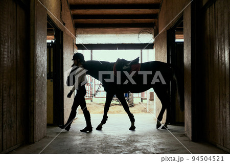 Live portrait of young girl, teen, beginner rider in sports uniform and helmet going with horse to arena. Lifestyle mood. Concept of nature, animal, care, sport 94504521