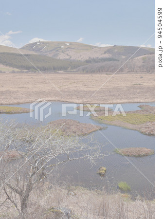 晴天の霧ヶ峰八島湿原、春うららかな陽気に車山まで見渡す 背景写真ライトA列縦 晴天の霧ヶ峰八島湿原、春うららかな陽気に車山まで見渡す 背景写真ライトA列縦 94504599