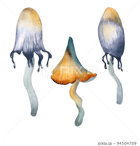 Set of toadstool and fantasy plants watercolor illustration isolated on white background. 94504709