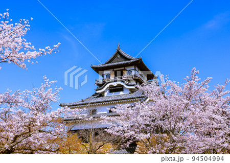 国宝犬山城　桜咲く頃 94504994