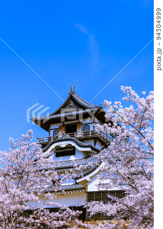 国宝犬山城　桜咲く頃 94504999