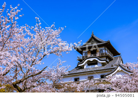 国宝犬山城　桜咲く頃 94505001