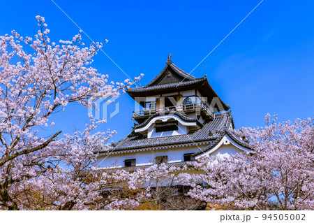国宝犬山城　桜咲く頃 94505002