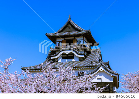 国宝犬山城　桜咲く頃 94505010