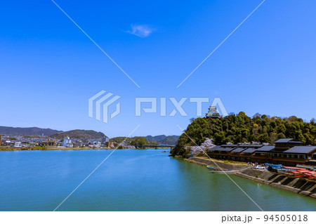 国宝犬山城　桜咲く頃 94505018