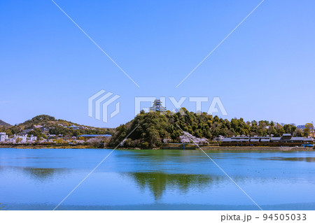 国宝犬山城　桜咲く頃 94505033