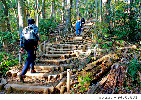 【東京】秋の高尾山 登山道6号路を登る観光客 【東京】秋の高尾山 登山道6号路を登る観光客 94505881