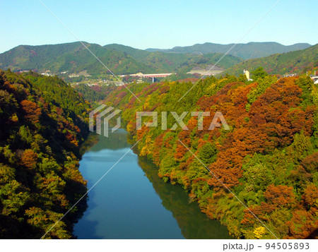 相模川の紅葉 94505893