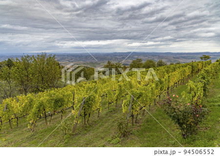 Tuscany's most famous vineyards near town Montalcino in Italy Tuscany's most famous vineyards near town Montalcino in Italy 94506552
