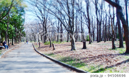 晴れの日の公園 94506696