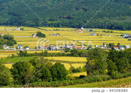 芦別市新城町の稲作風景を俯瞰して 芦別市新城町の稲作風景を俯瞰して 94506980