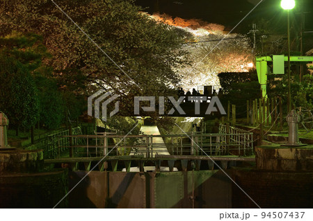 大津・琵琶湖疎水の大津閘門と夜桜を見る人々 94507437