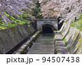 大津・琵琶湖疎水第一トンネルの桜 94507438