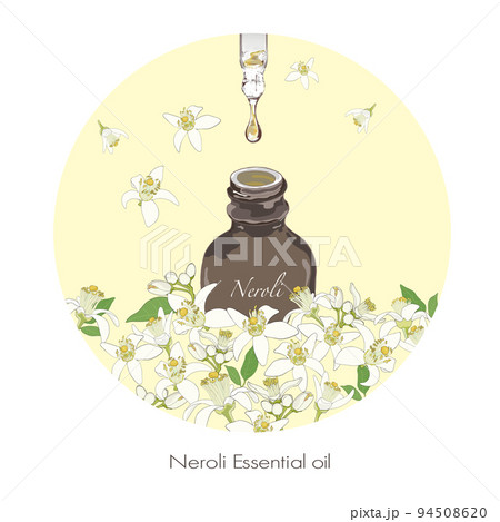 ネロリのイラスト・精油＆アロマ 94508620