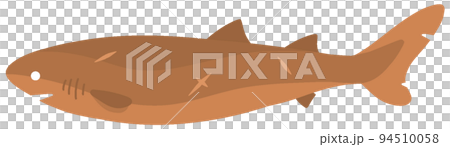 オンデンザメ 94510058