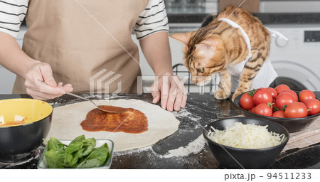 The woman owner and her cat lay out the pizza toppings. The woman owner and her cat lay out the pizza toppings. 94511233