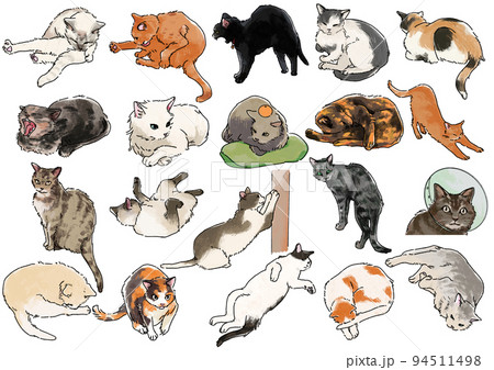 【色つき】猫の色んな姿勢と表情のイラストセット 94511498