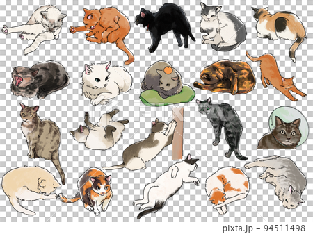 【色つき】猫の色んな姿勢と表情のイラストセット 94511498