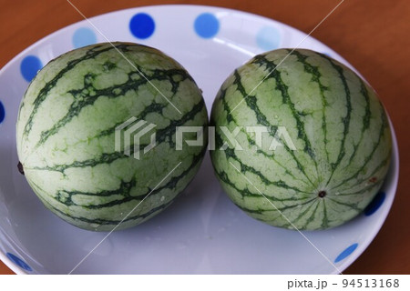 小玉スイカ栽培・家庭菜園 94513168