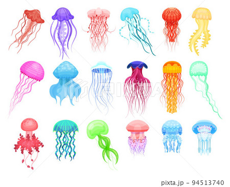 Colorful Jellyfish with Umbrella-shaped Bell - Stock Colorful Jellyfish with Umbrella-shaped Bell - Stock