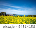 菜の花畑 94514158