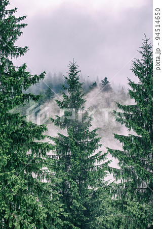 Misty mountain landscape Misty mountain landscape 94514650