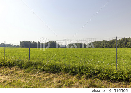 Metal fences for animal protection Metal fences for animal protection 94516506