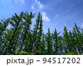 夏の安達太良山・青空と木々（背景素材） 94517202
