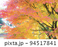 ソフトイメージに写した秋の紅葉 94517841