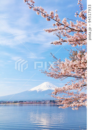 富士山と桜 94517933
