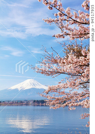富士山と桜 94517935