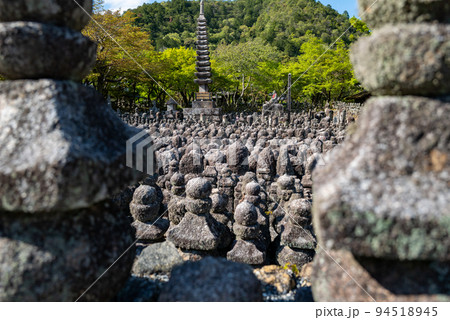 春の化野念仏寺 94518945