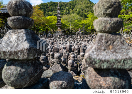 春の化野念仏寺 94518946