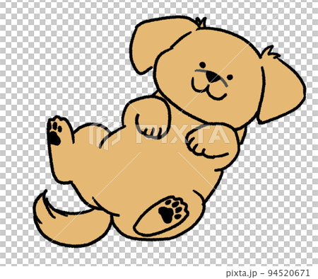 仰向けに寝転がっているクリーム色のチワックス 94520671