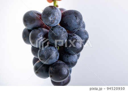ぶどう grape ぶどう grape 94520930