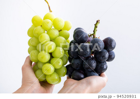 ぶどう grape ぶどう grape 94520931