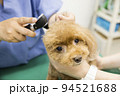 動物病院で小型犬の耳の中を見る女性獣医手元 94521688