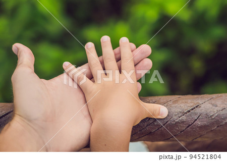 father's hand lead his child son in summer forest nature outdoor, trust family concept 94521804