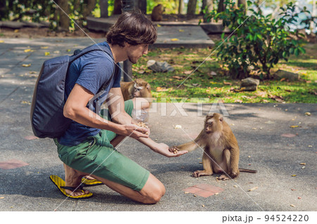 The man feeds the monkey whith nuts 94524220